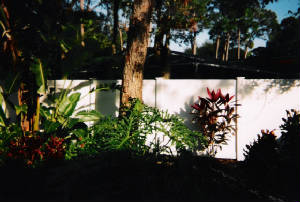 scan0006.jpg